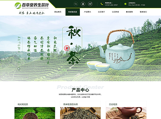 网站建设套餐案例S53效果图